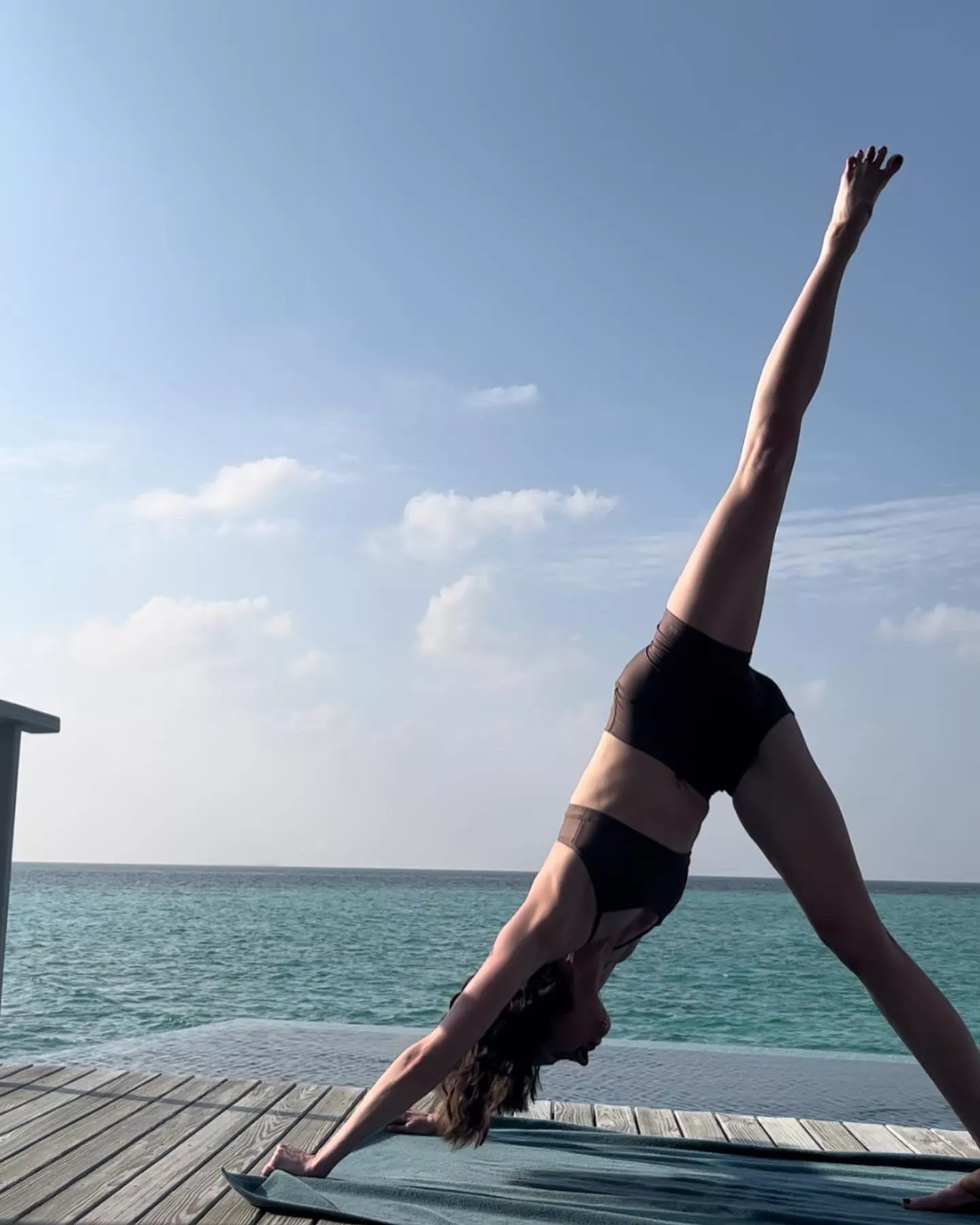 To live, is to feel 🍯 posted by Nippy_Hippie