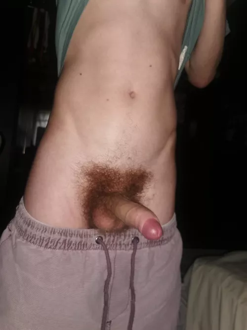 What's your thoughts? by TheNovaOP