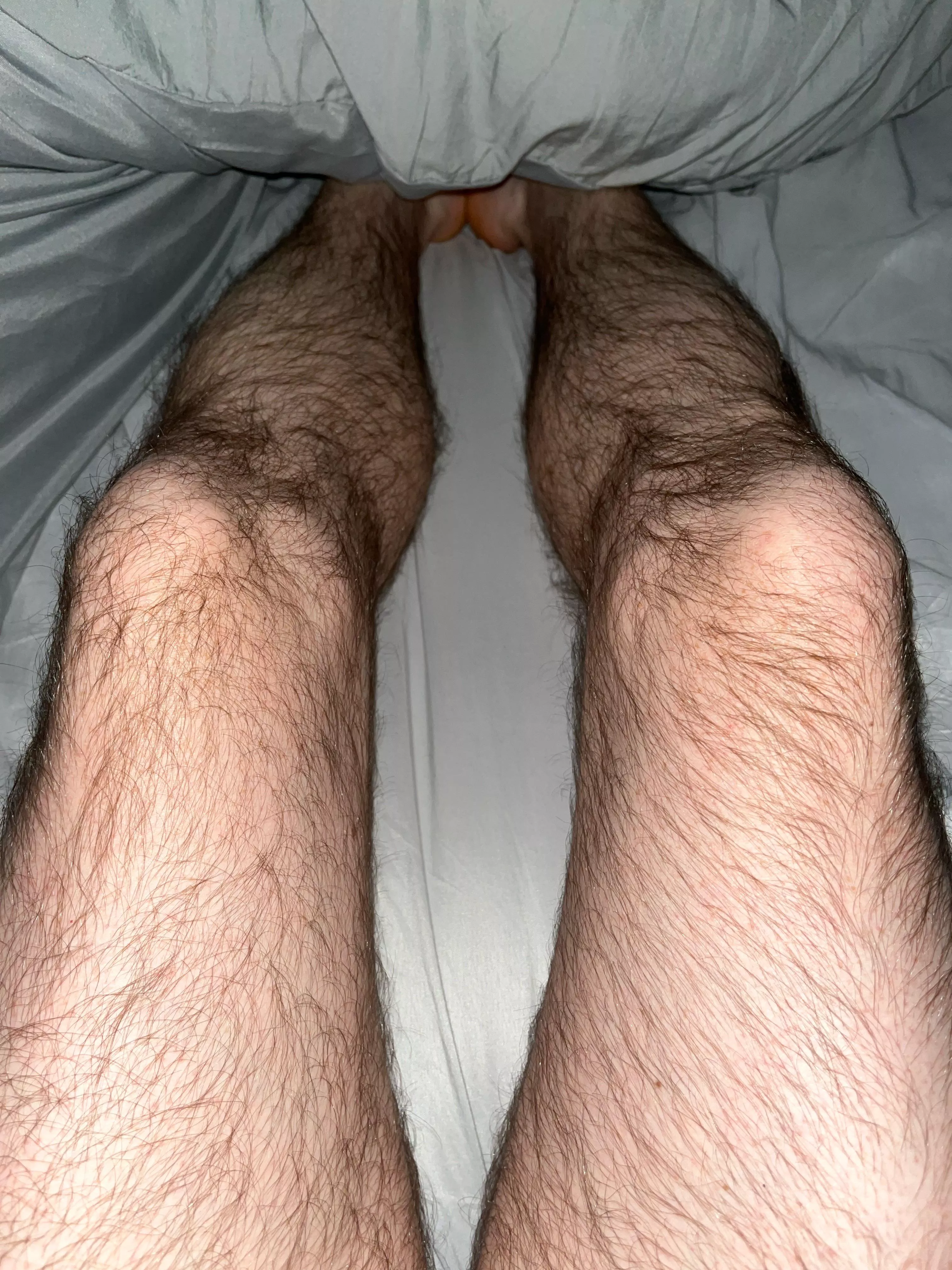 Who likes hairy legs? posted by InkBlueOnly