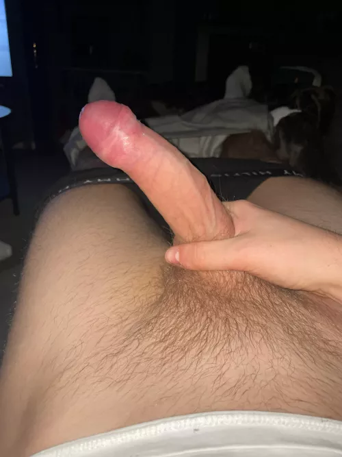 18 twink horny in living room while gf is clubbing. What are me doing in the mean time😈 add @jesseboston23 by Ok_Beginning2055