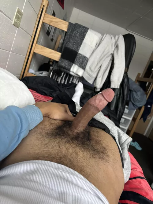 19 us hmu if hung @melloyello414 by Sufficient_Pianist28