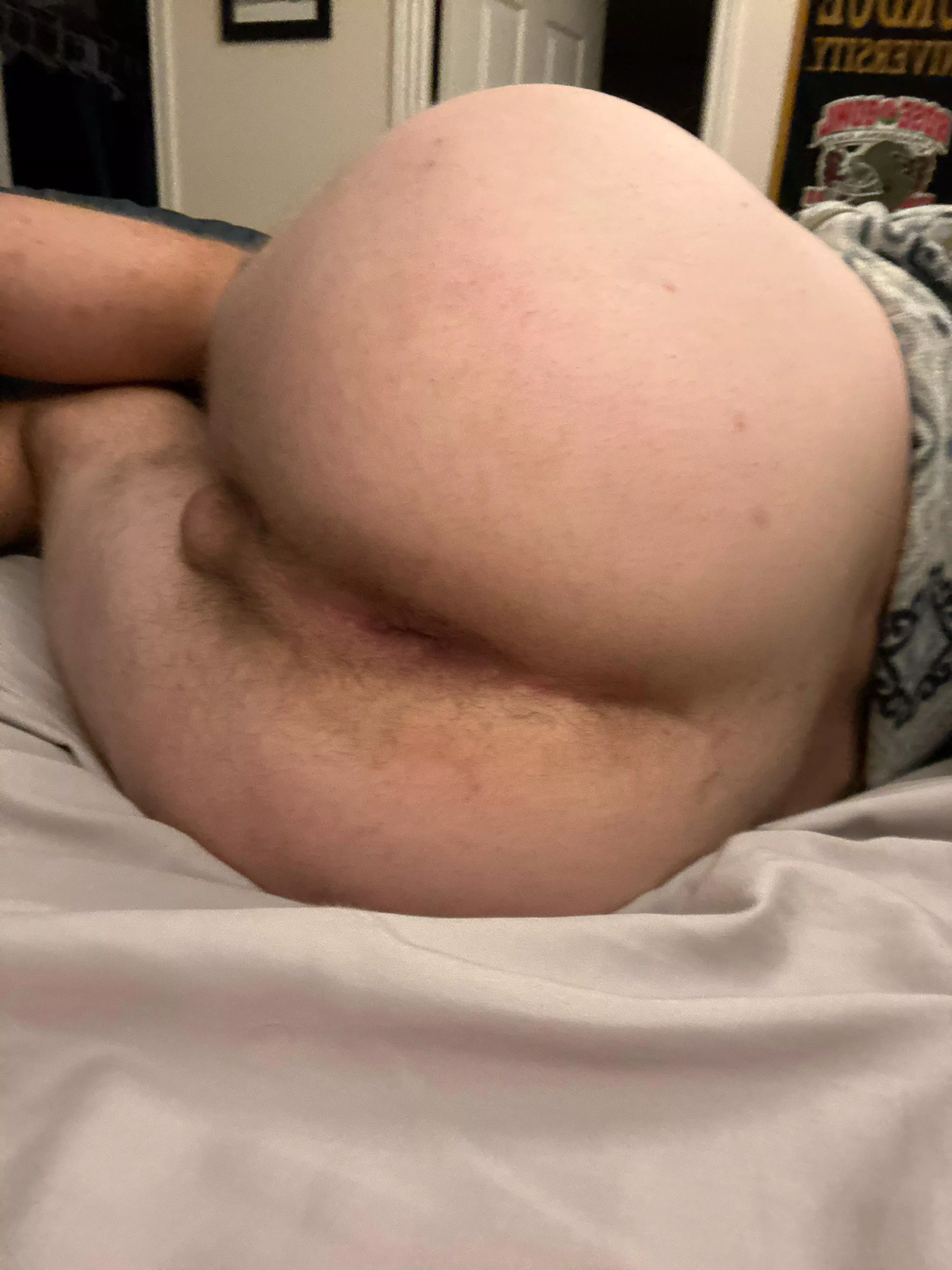 23 m bi-curious need a younger top to teach me posted by Life_Transition616