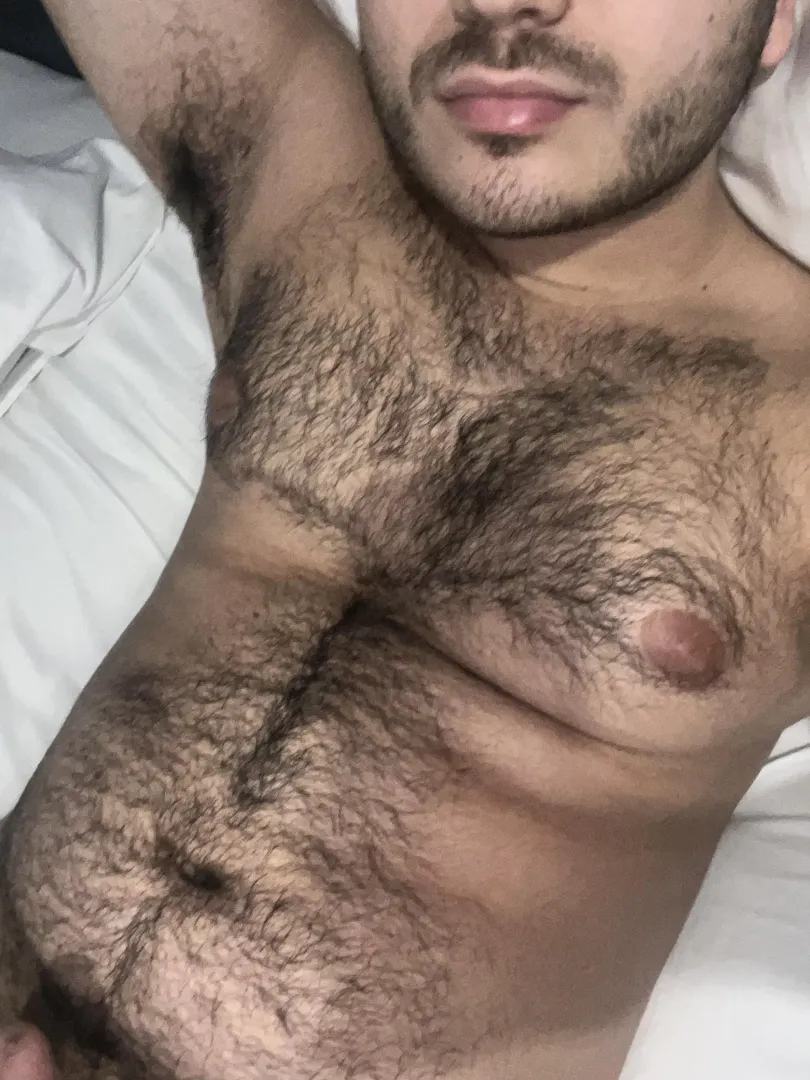 Arab bear 😉 links in bio by Former_Judge6015