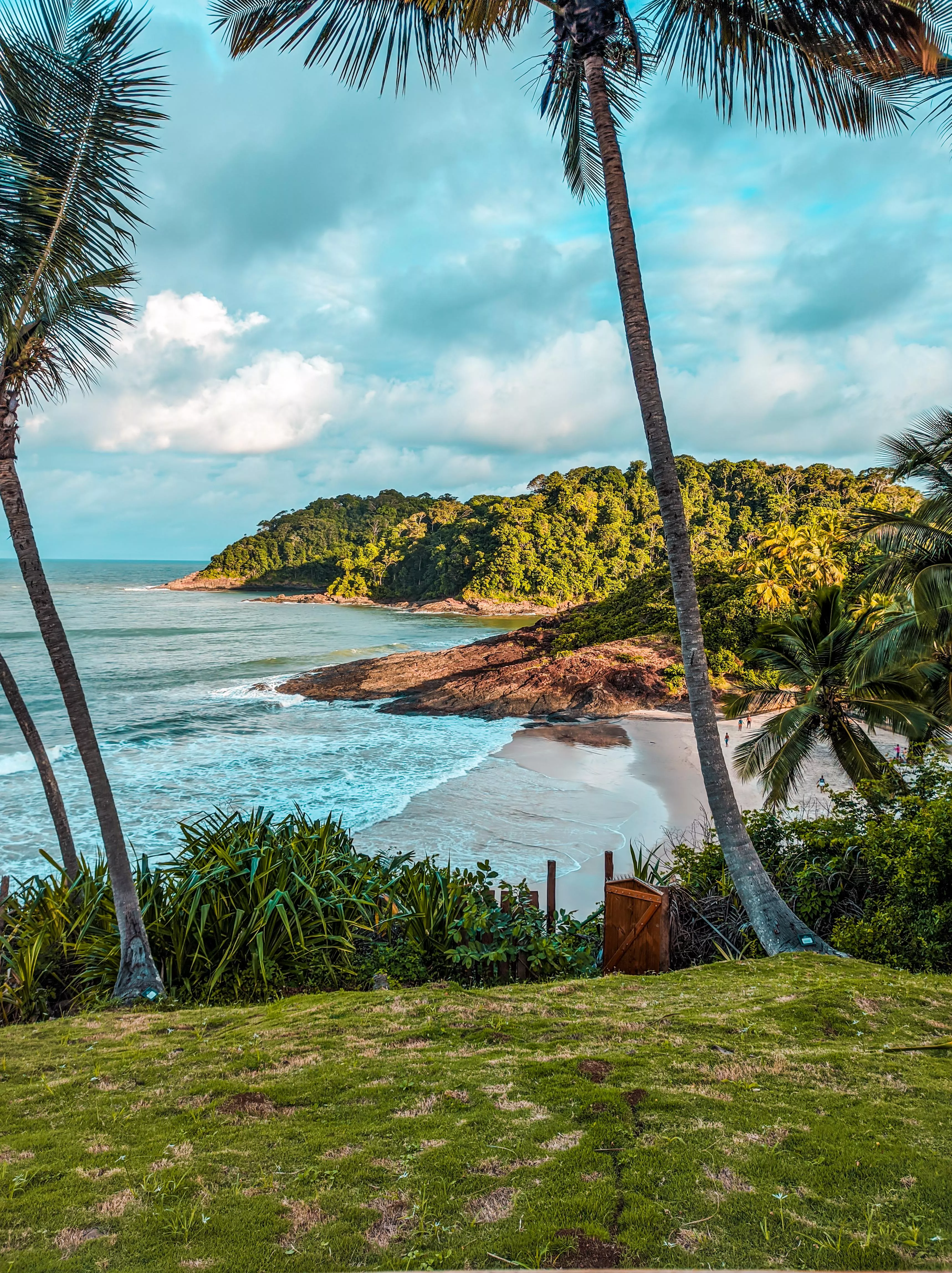 Beach garden posted by LordWitness