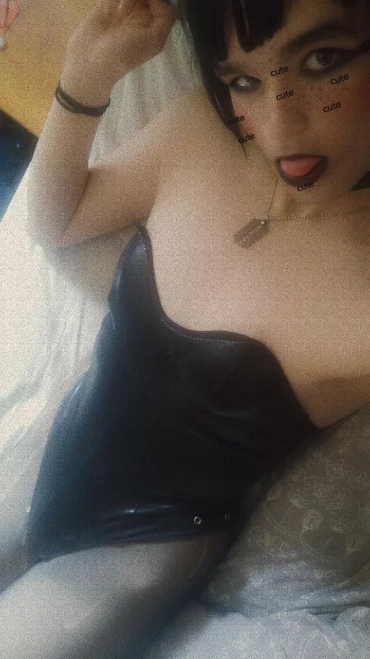 bunnii posted by popperpuppy