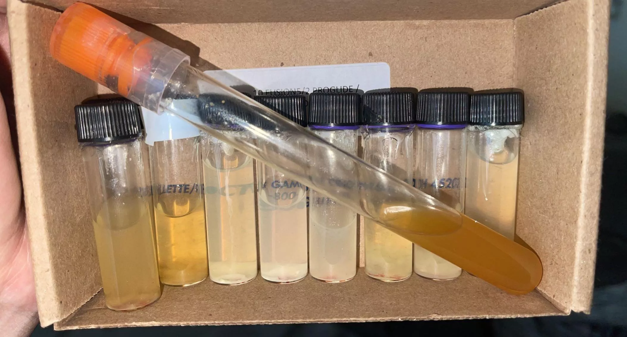 Cum collecting posted by shortcut-jay