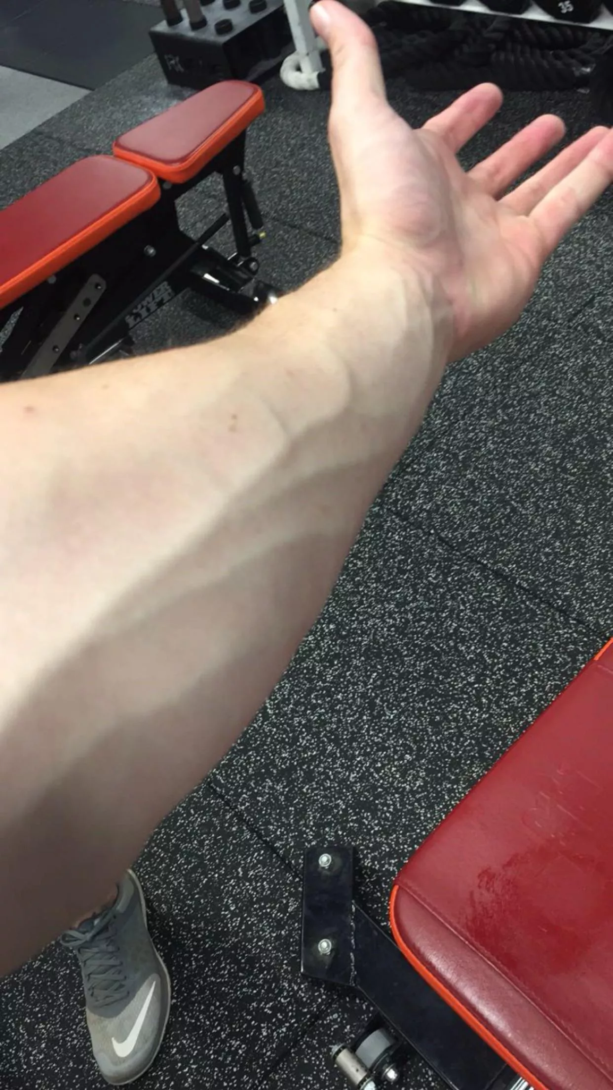Dumbbell shrugs for the forearm veins I guess posted by Savings-Project-8626