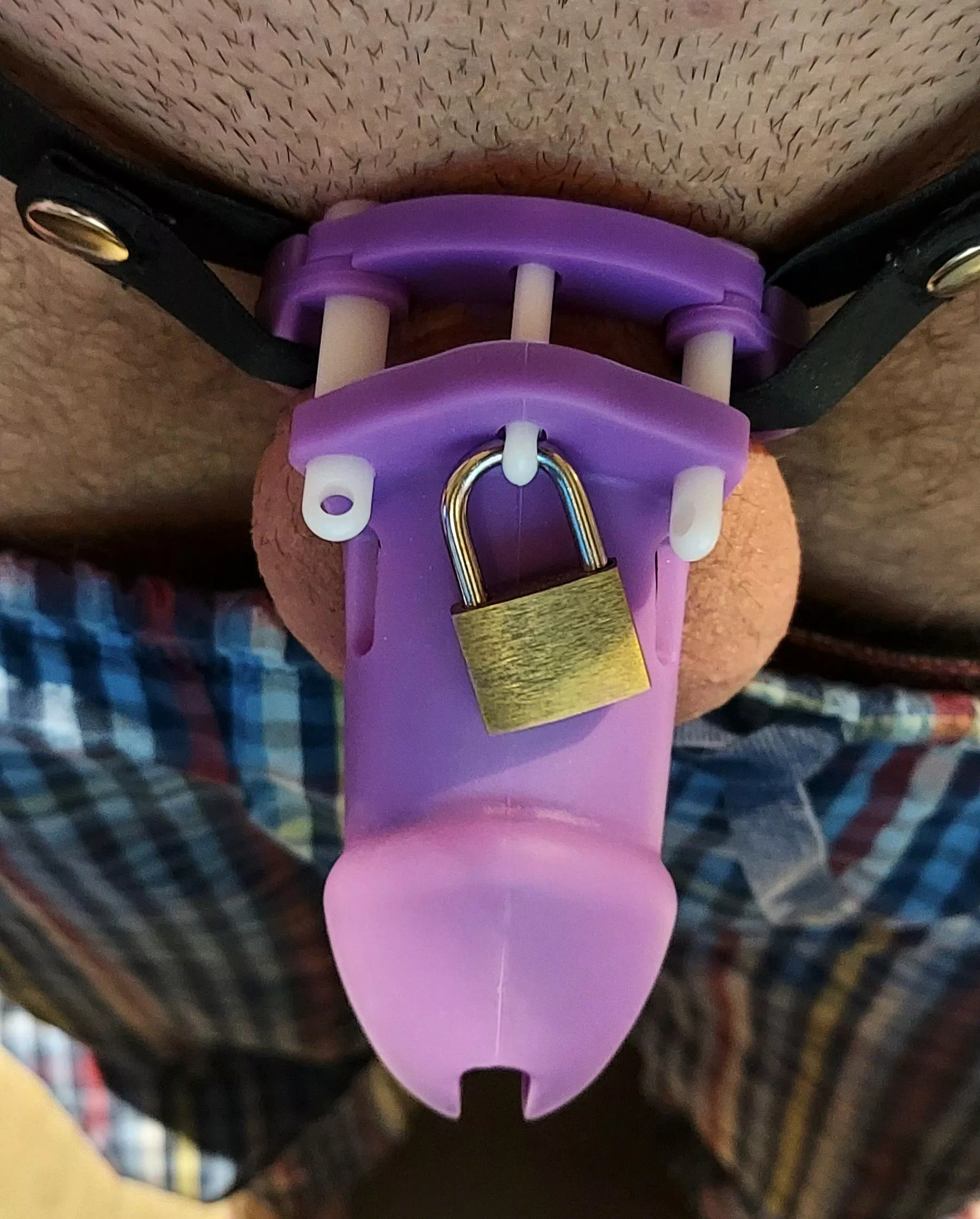 First time wearing a cage to bed posted by Goldenhawk4