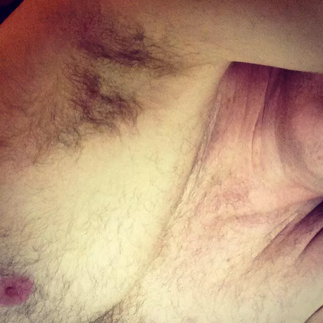 Furry pit posted by Satyrwulf