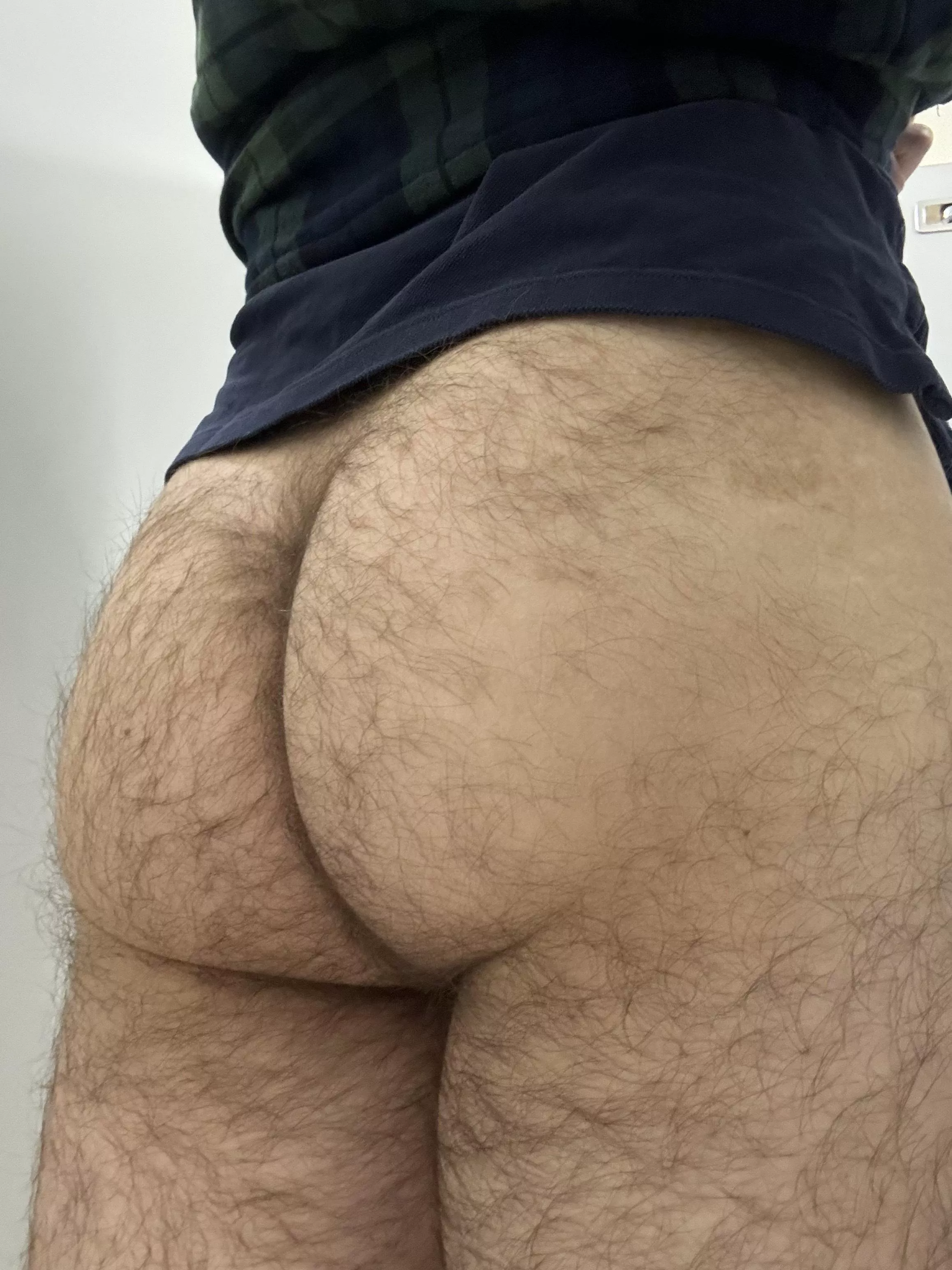 Fuzz posted by Pirateducky99