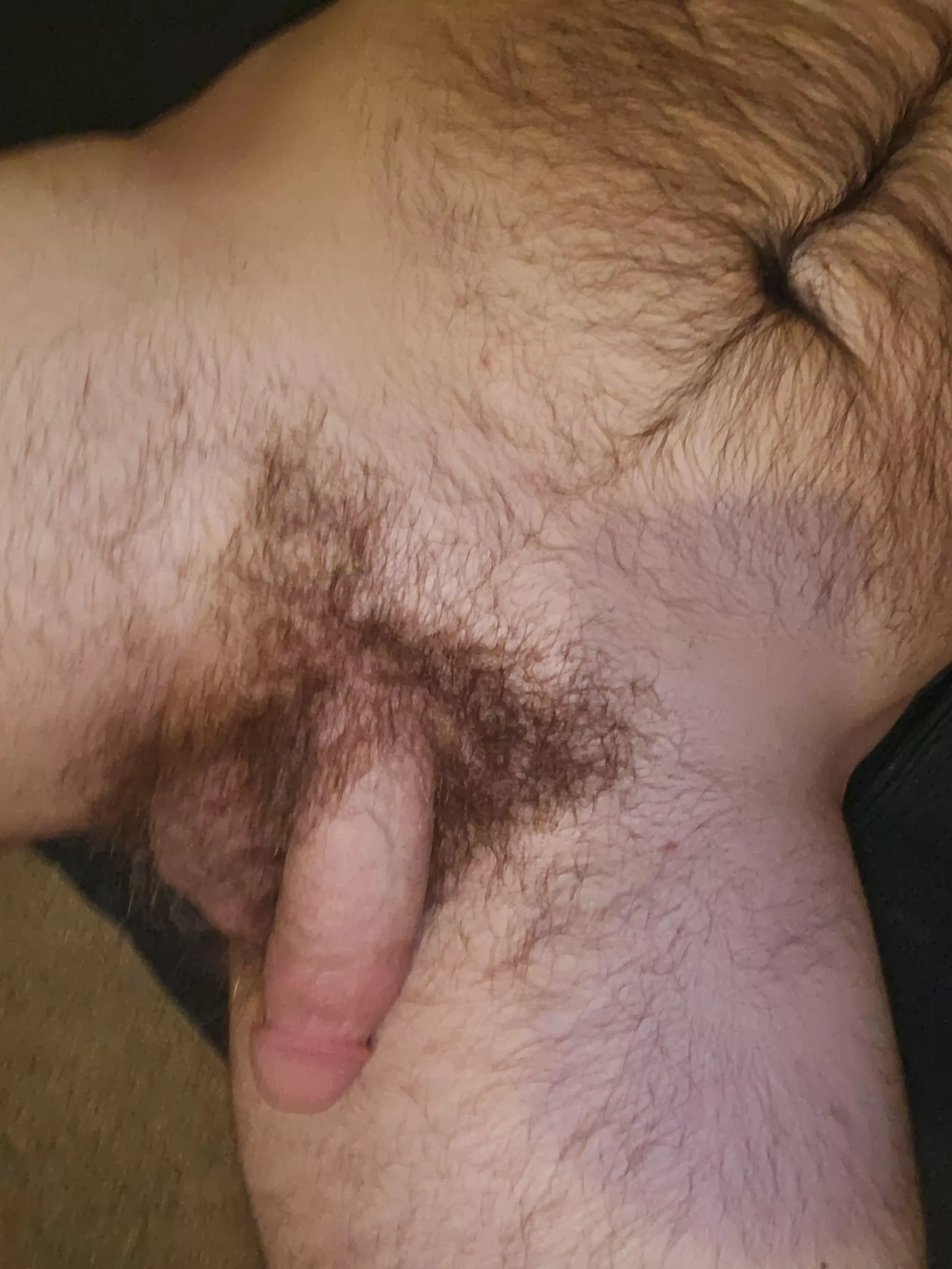 Hairy enough? posted by bi_blaize
