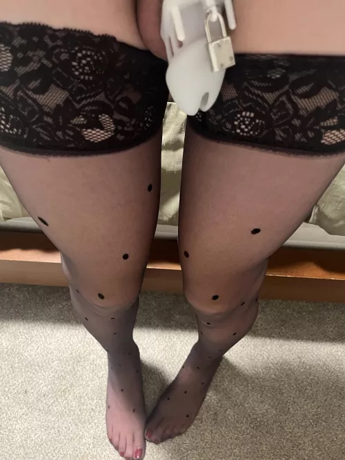 I think I need a smaller cage and it needs to be permanent. by Dangerous_Effect9485