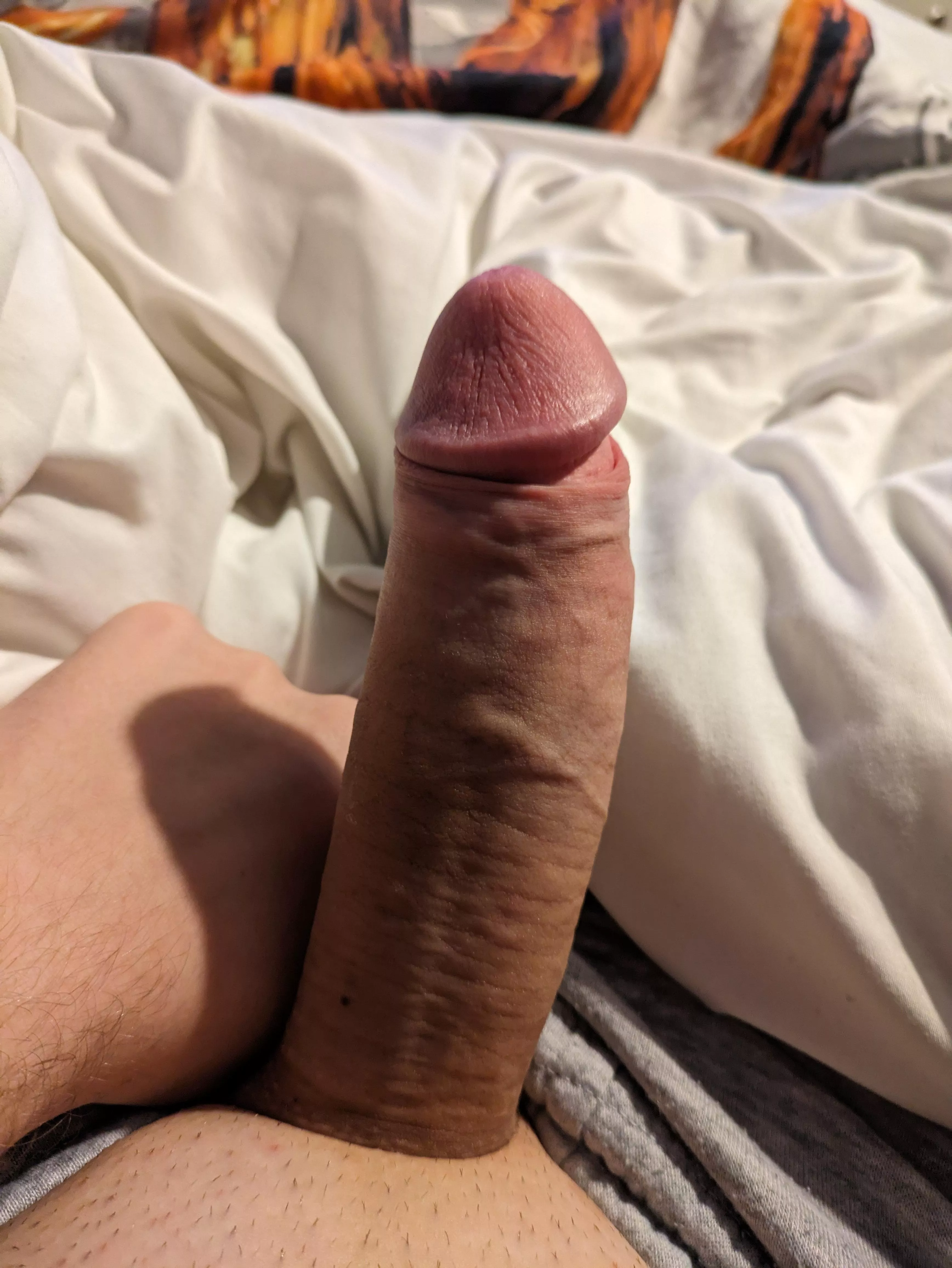 Morning wood doing tributes with it DM Me posted by Important_Spell_5517