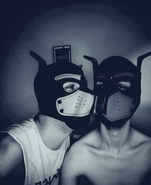 My boy 👉👈 💫❤️🐕 by Loose_Opposite_5975