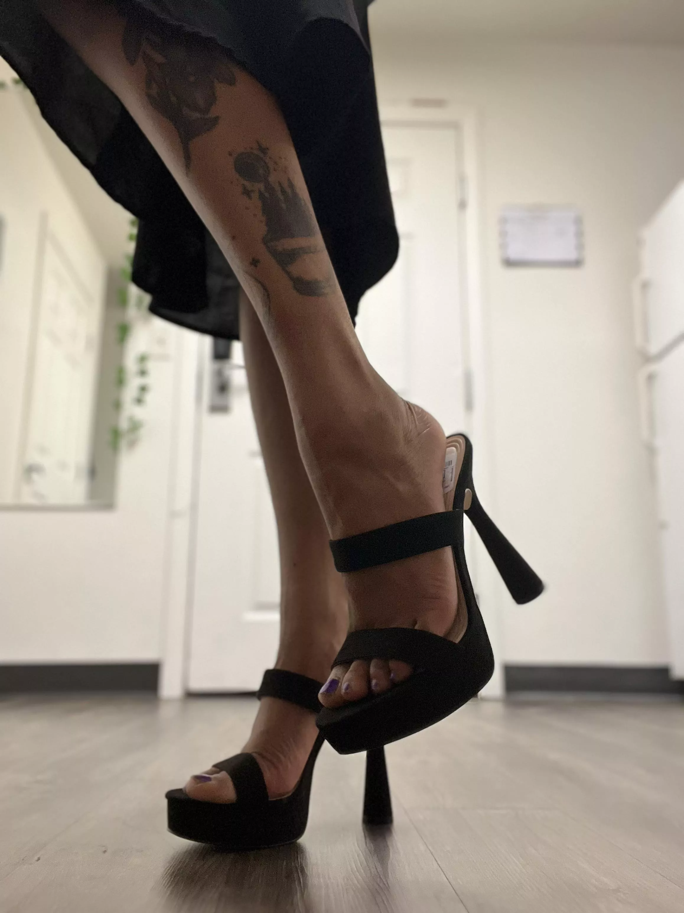 So excited! Aren’t they beautiful??? <3 posted by KratosMommy666