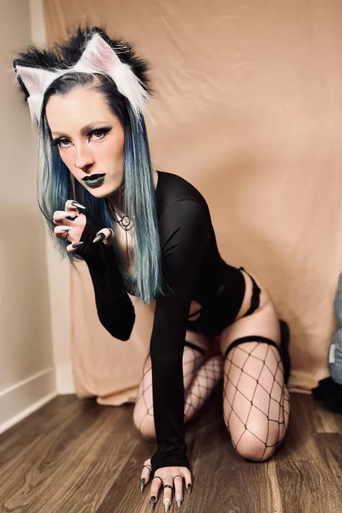 This kitty’s got claws😈 by savvy-doll147