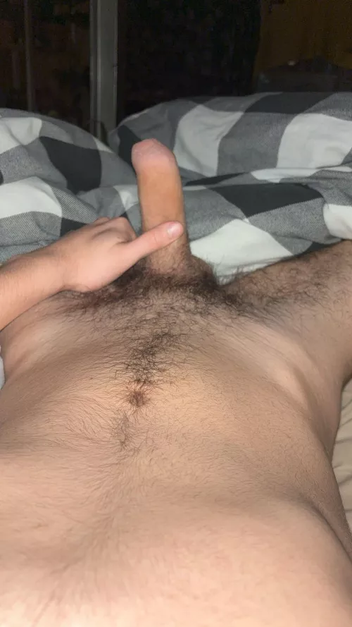 Uncut hairy cock by Known-Payment8553