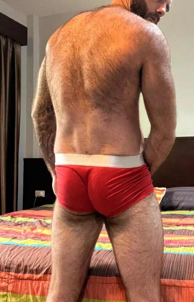 who likes wide furry back?, I have been told I am disgustingly hairy. posted by bwarren106