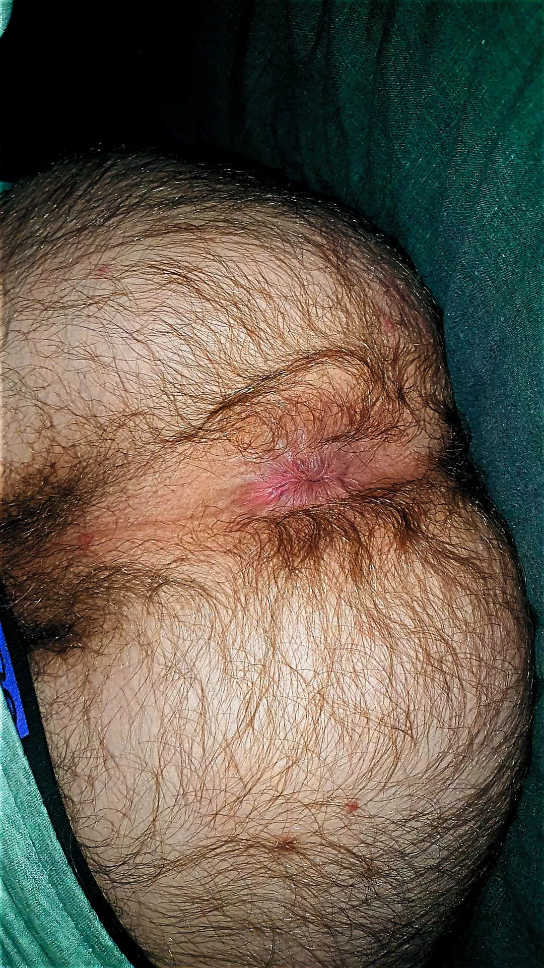 Would you eat this for dinner? posted by Separate_Fly6315