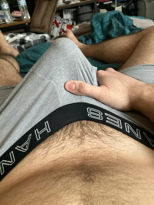 24 looking for hairy jerkbuds who can make me cum. Add boxerbrief8 by boxerbrief8
