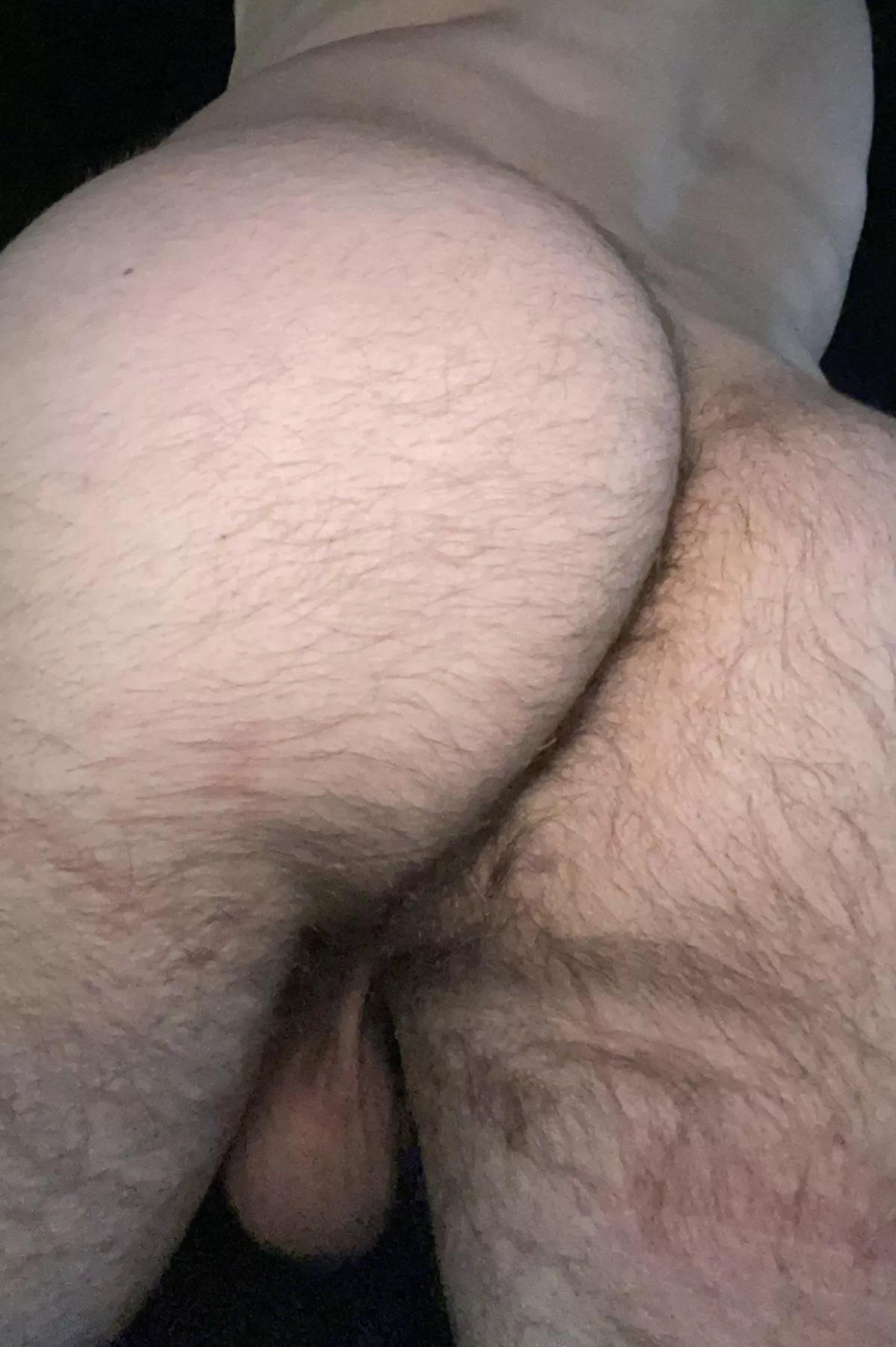 28. Furry jock ass waiting for daddy to use. DM for snap posted by Verspoler