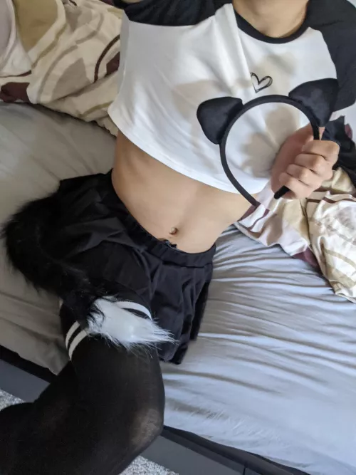 any cat people here? meoww :3 by ThinPressure3762