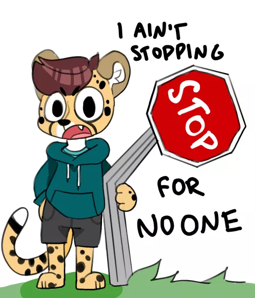 cheetah boyo don't stop by facetiousgiblets