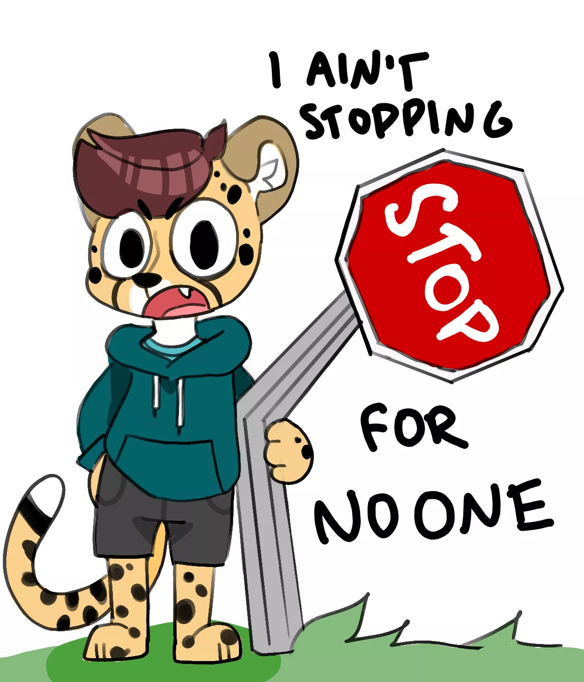 cheetah boyo don't stop posted by facetiousgiblets
