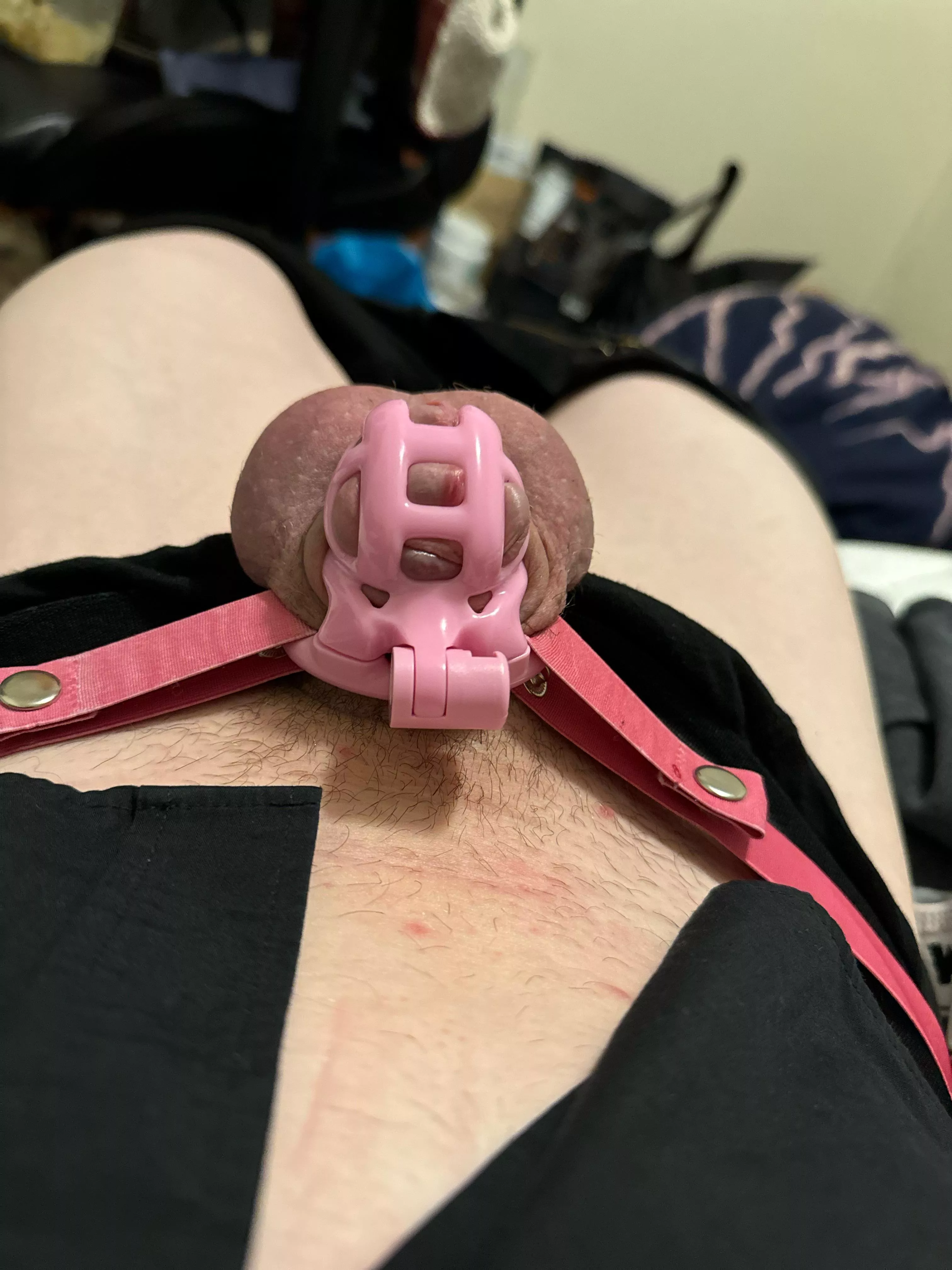 Finally back where I belong after work posted by randorred