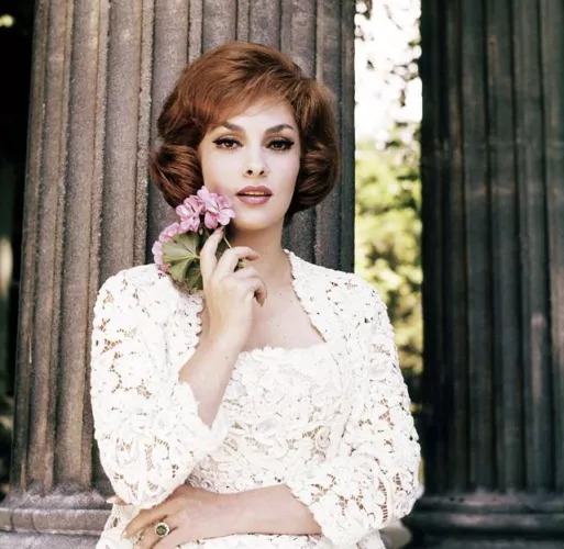 Gina Lollobrigida (1960s) by bil_sabab