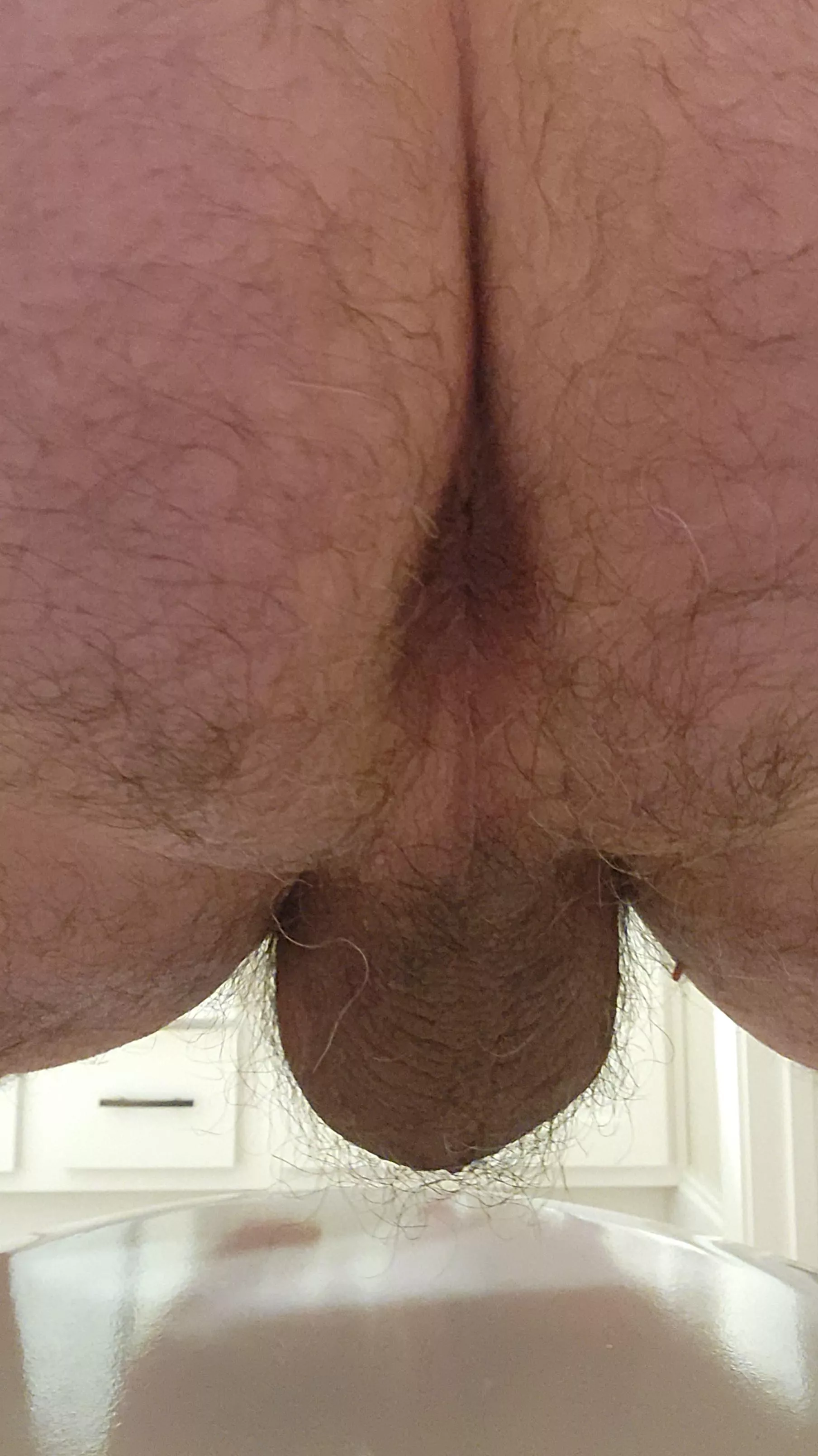 Hanging nuts posted by greenbluered1234