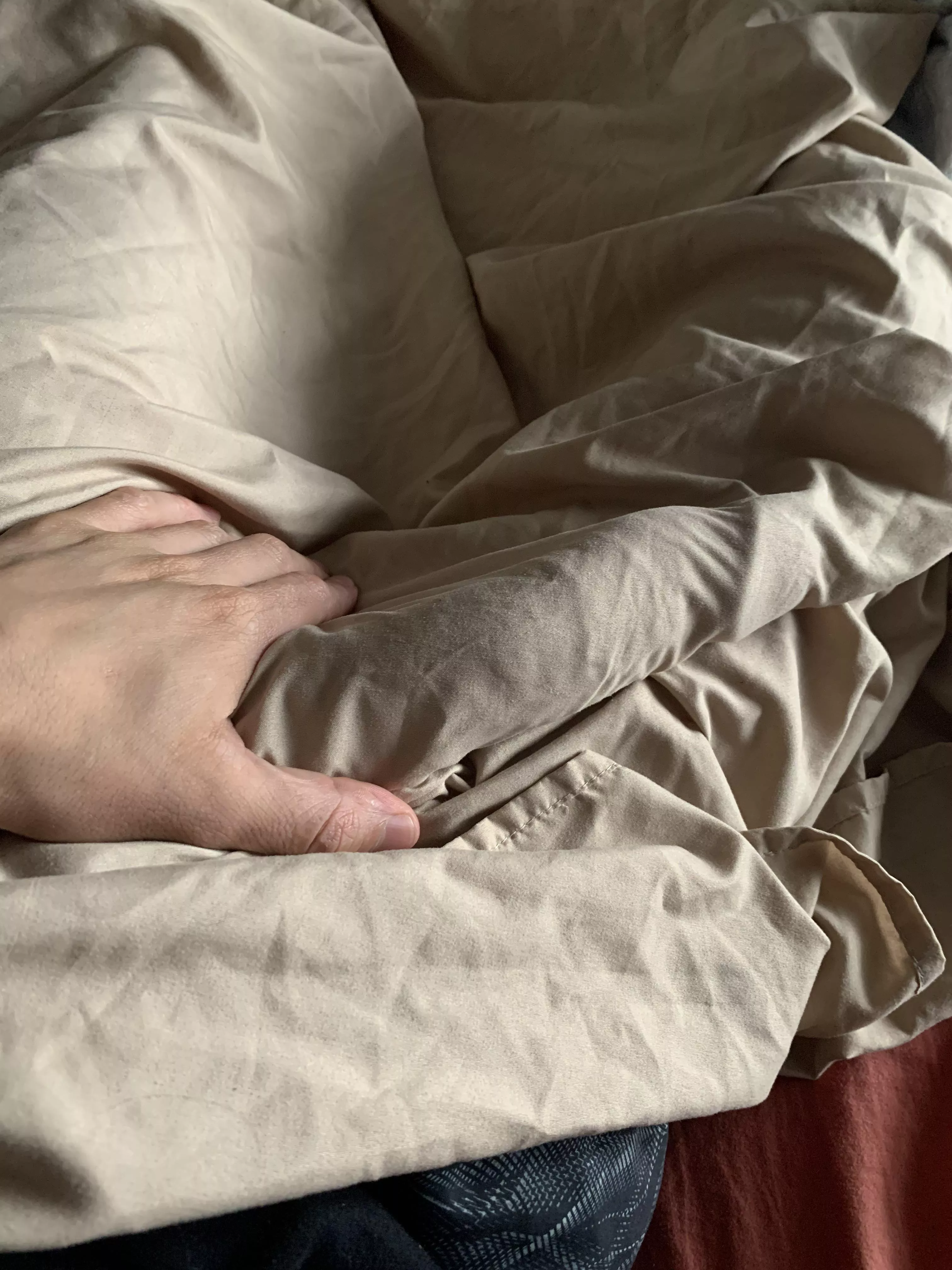 Morning wood posted by Throwaway4445677776