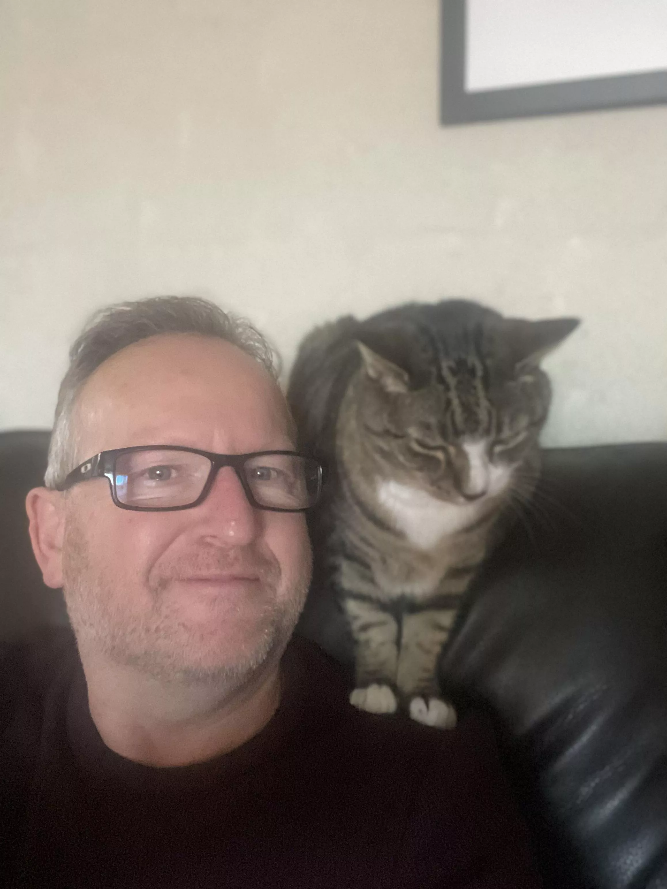 My cat getting comfortable.. posted by Stewy41