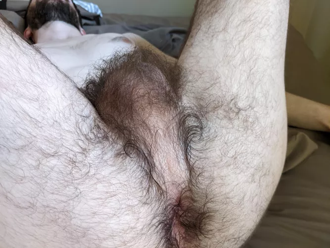 my little ass says hi by CaptainWeissman