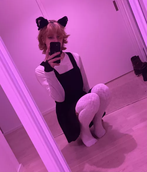 So, who likes catbois ^-^ by CasualFb