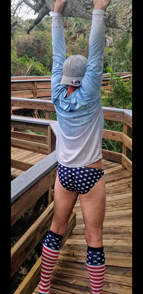 Stars & Stripes by Sneaky43P