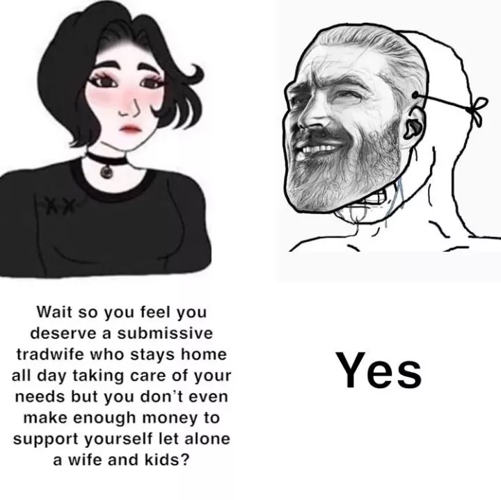 Tradwives in femdom vs the subs who crave them by OfDiceandWren