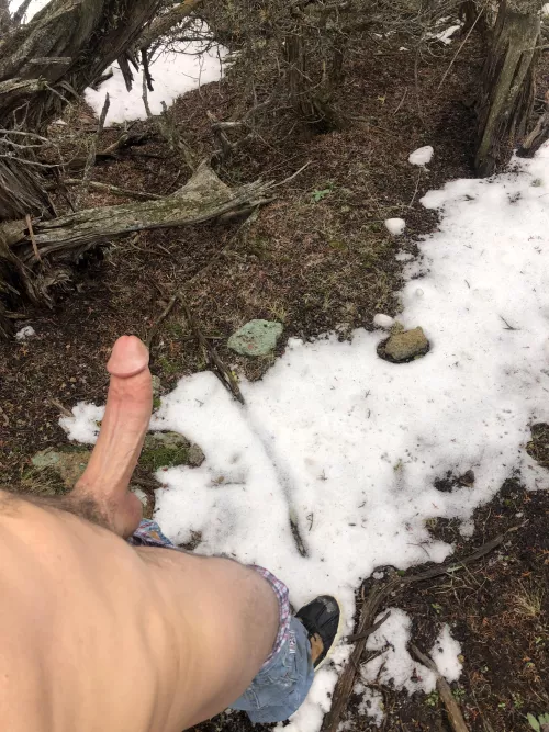 Waiting for the next hiker to come along:) what would you do if you caught me like this? by goingdowngoingup