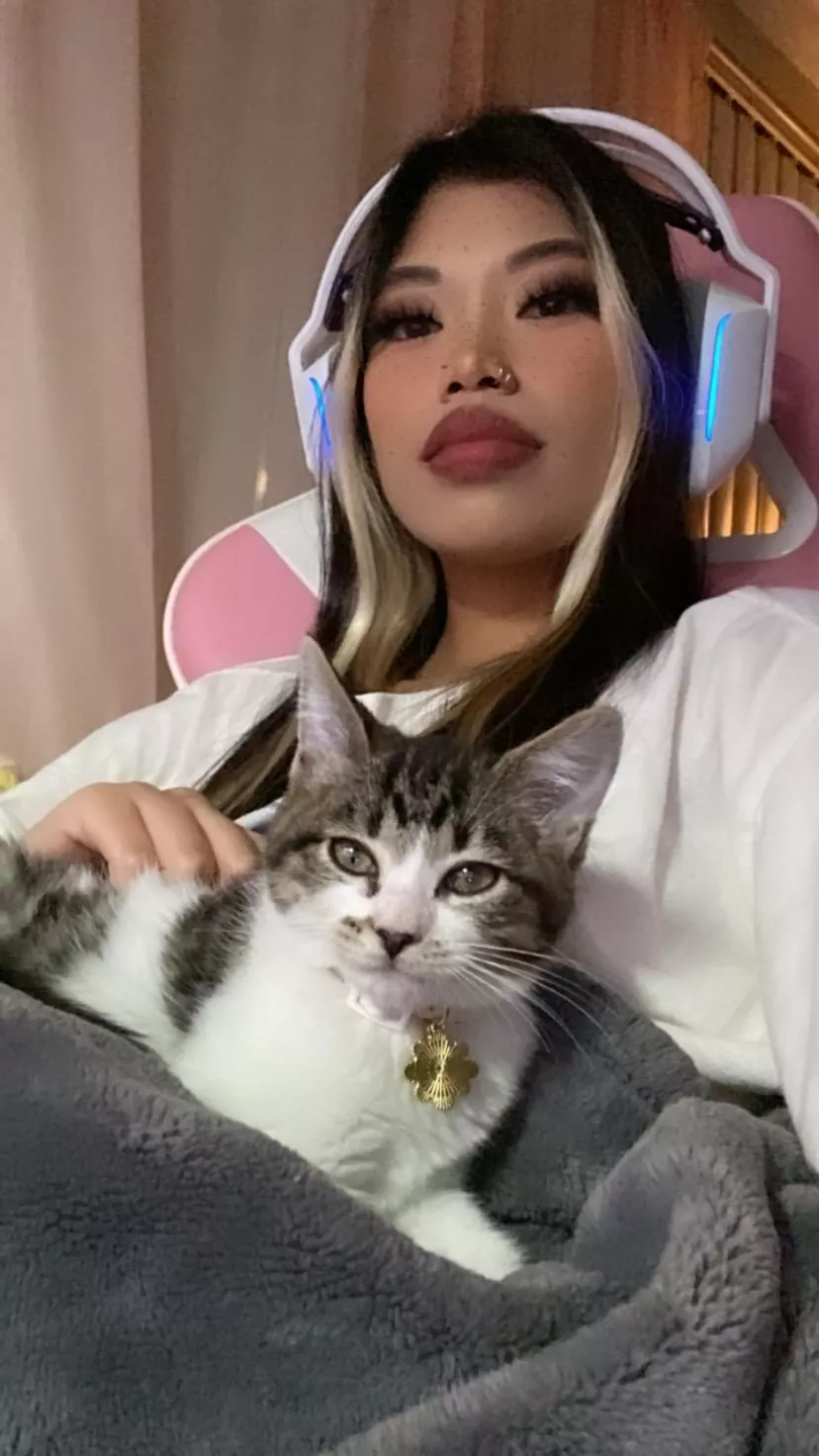 what would you like to do tonight? just chill or fuck? posted by reemiki