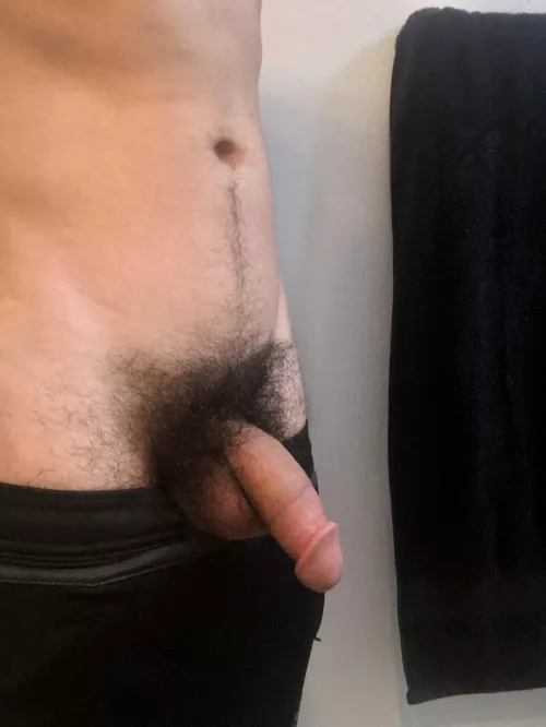 Would you drop to your knees in the bathroom for this hairy cock? by PM_UR_LIFE_GOALS