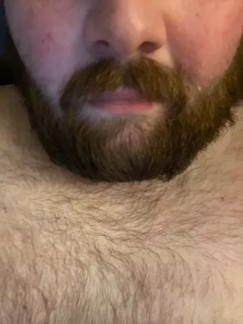 30 southern married bear. Looking for throbbing cock to worship or a sweet hole to fill and love role play. Let’s chat and see where it goes. Add beard_bear by BeardedBadDragon