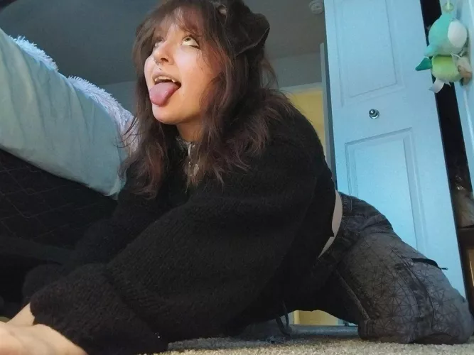 beggin' pup by stiffstickz