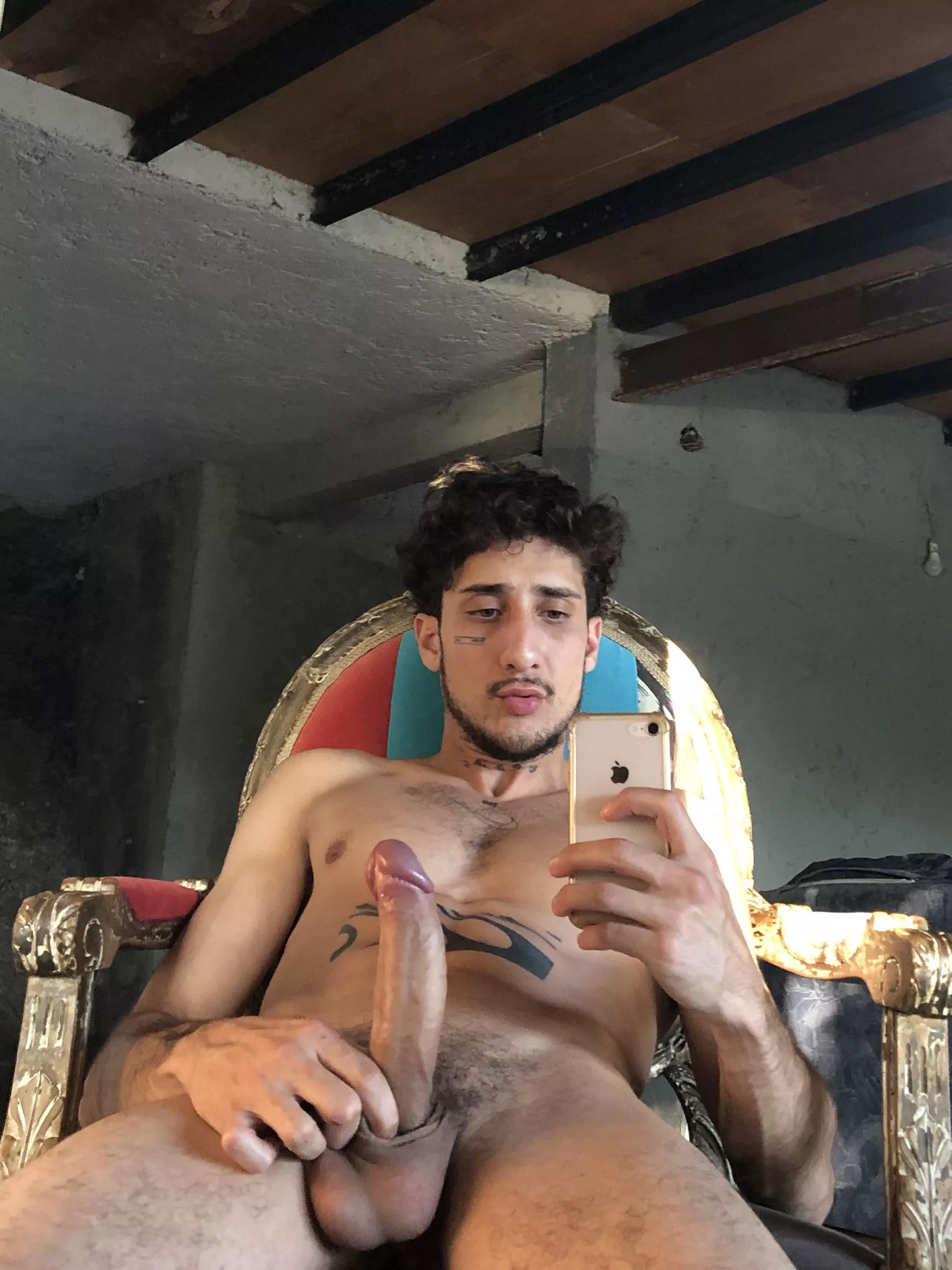 big erection this morning posted by fardamn