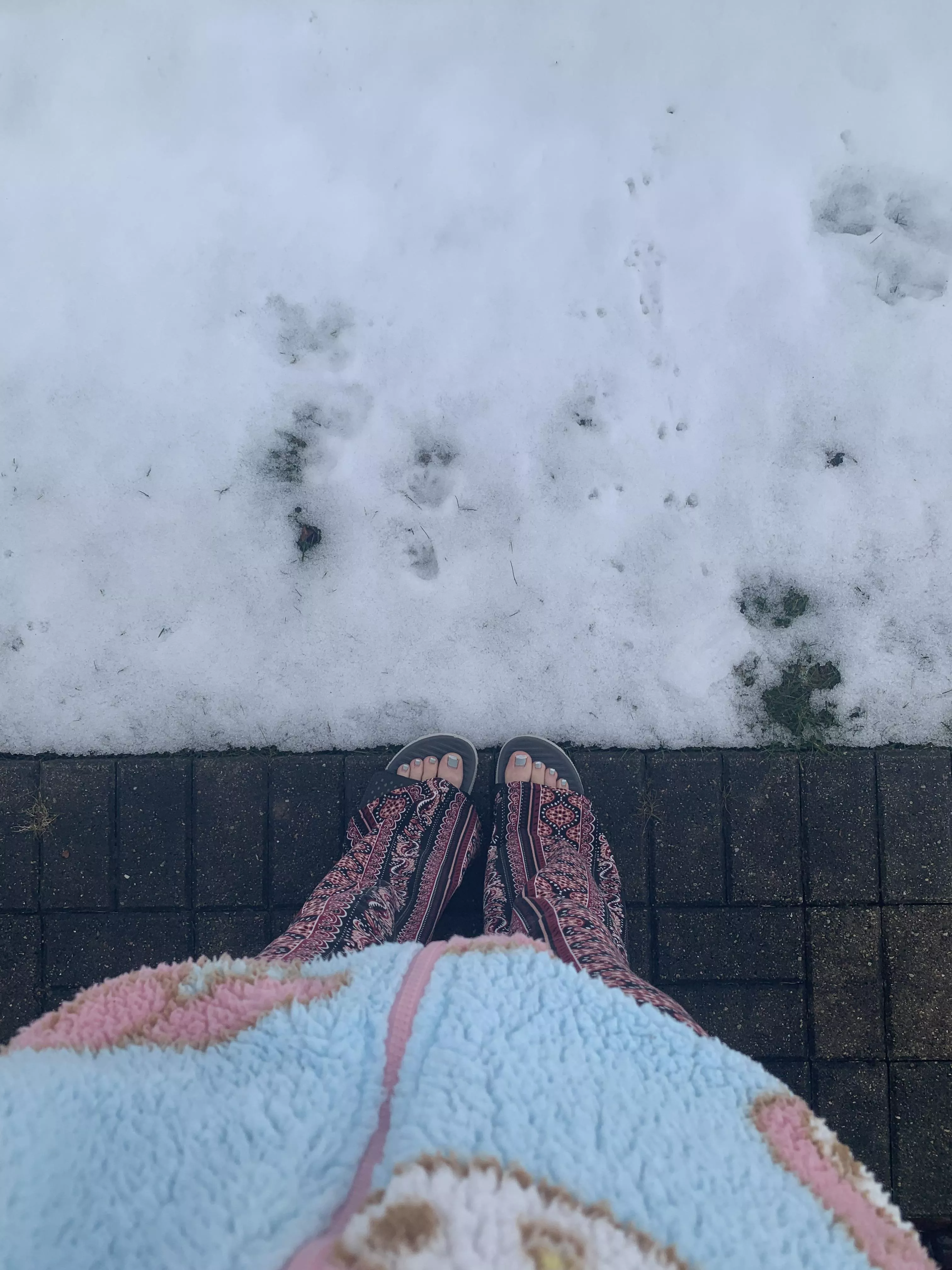 brrrrrr :3 posted by this_lil_piggi