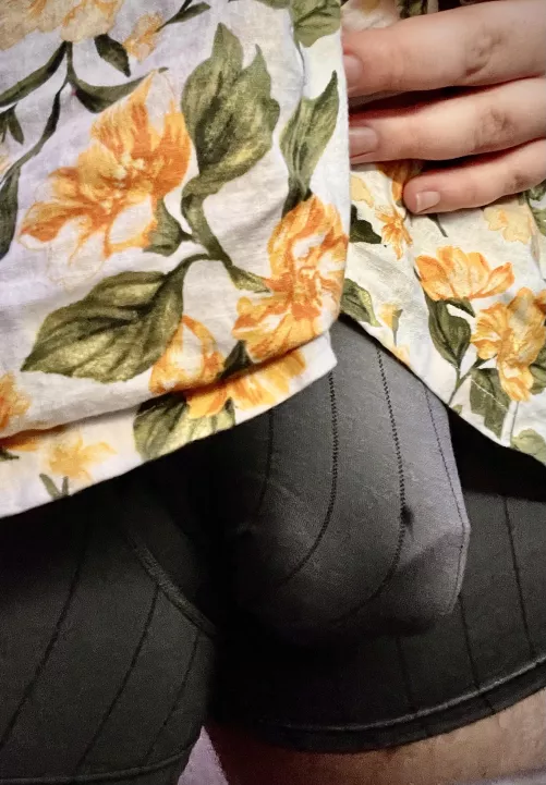 Bulgin out by Mister_eager