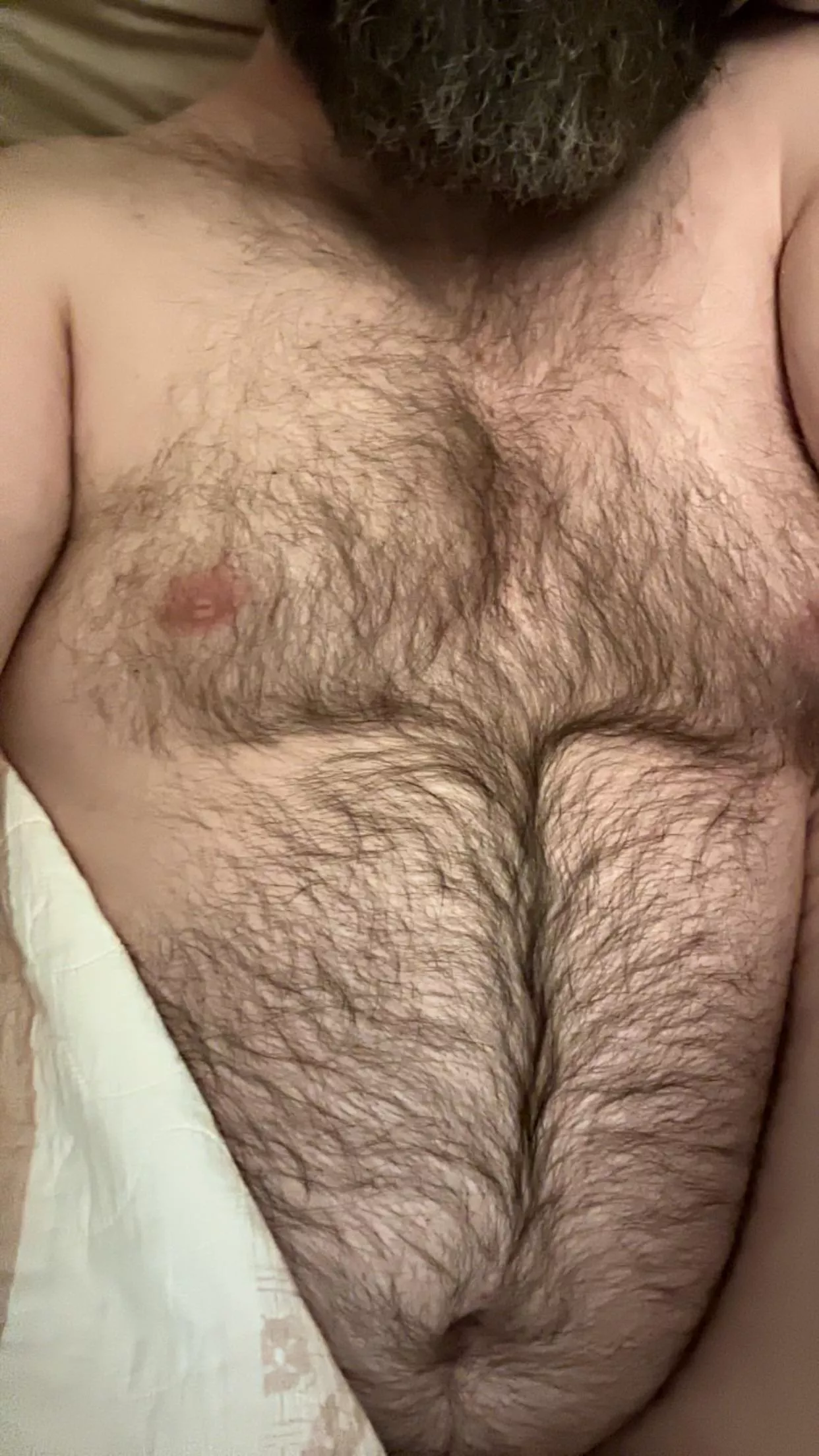 Can’t sleep. posted by DadbodBaldBeard