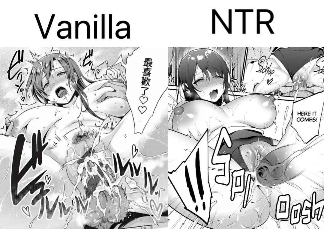 does vanilla still turn you on or you can only get off to NTR? posted by NiaTheCatt