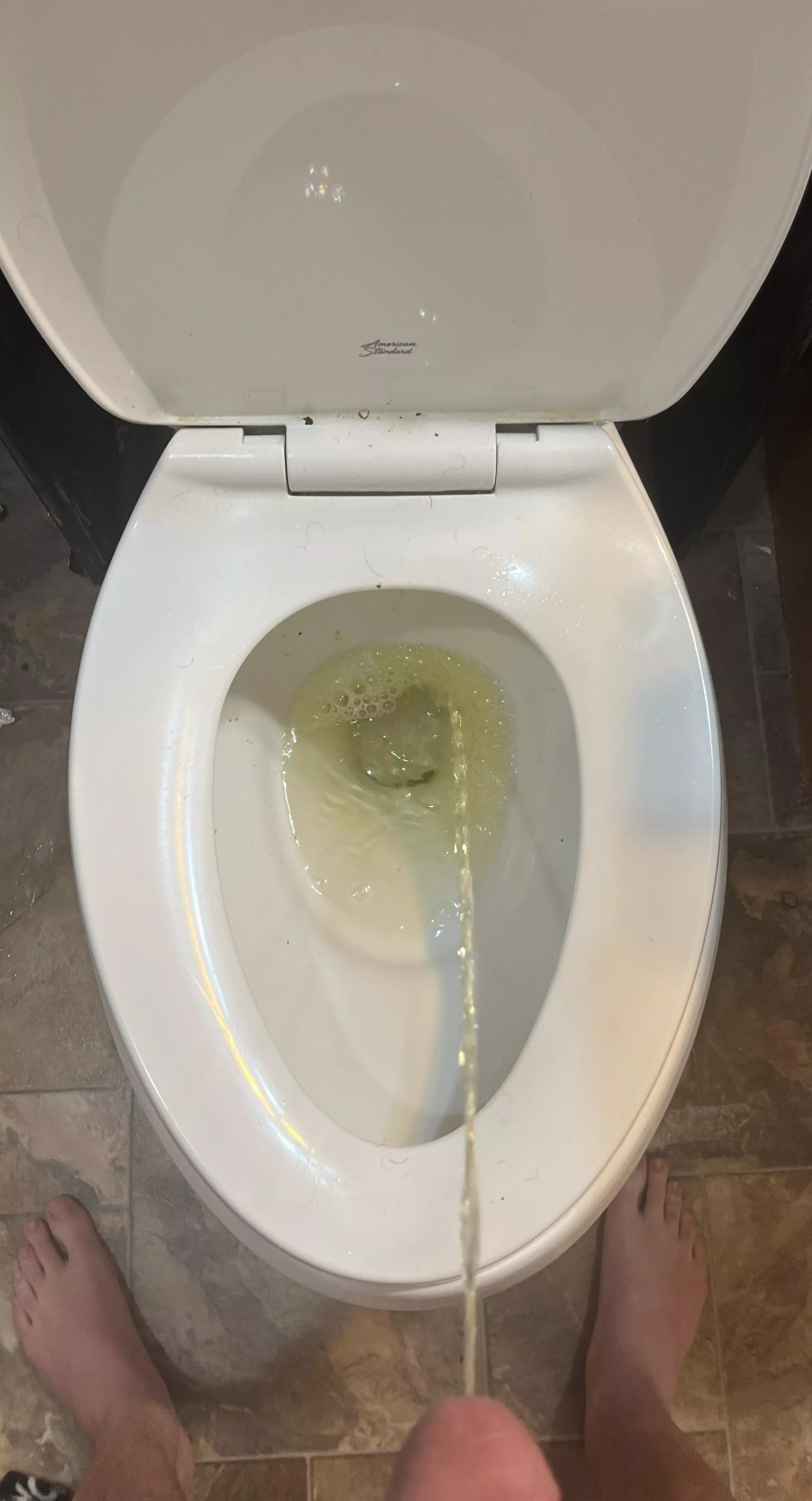 Erect piss posted by Supercdog1252