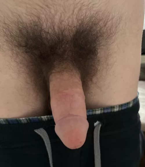 Hello by Disastrous-Daikon-74