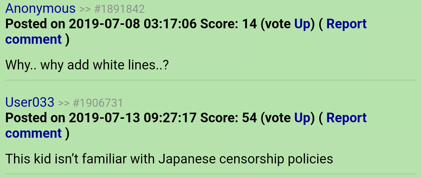 Japanese Censorship Policies posted by Pretend-Square-1179